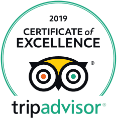 Trip Advisor Logo